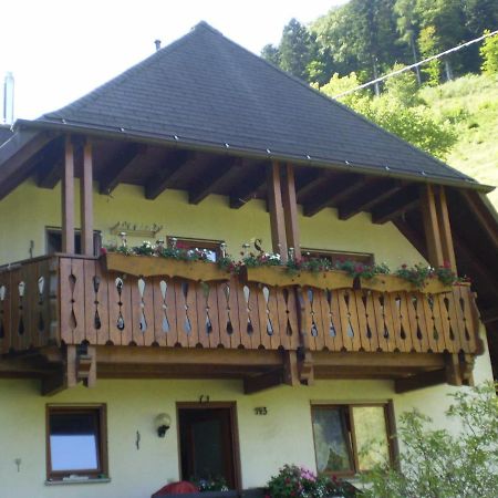 Apartmán Haus Am Bach Freiburg im Breisgau Exteriér fotografie